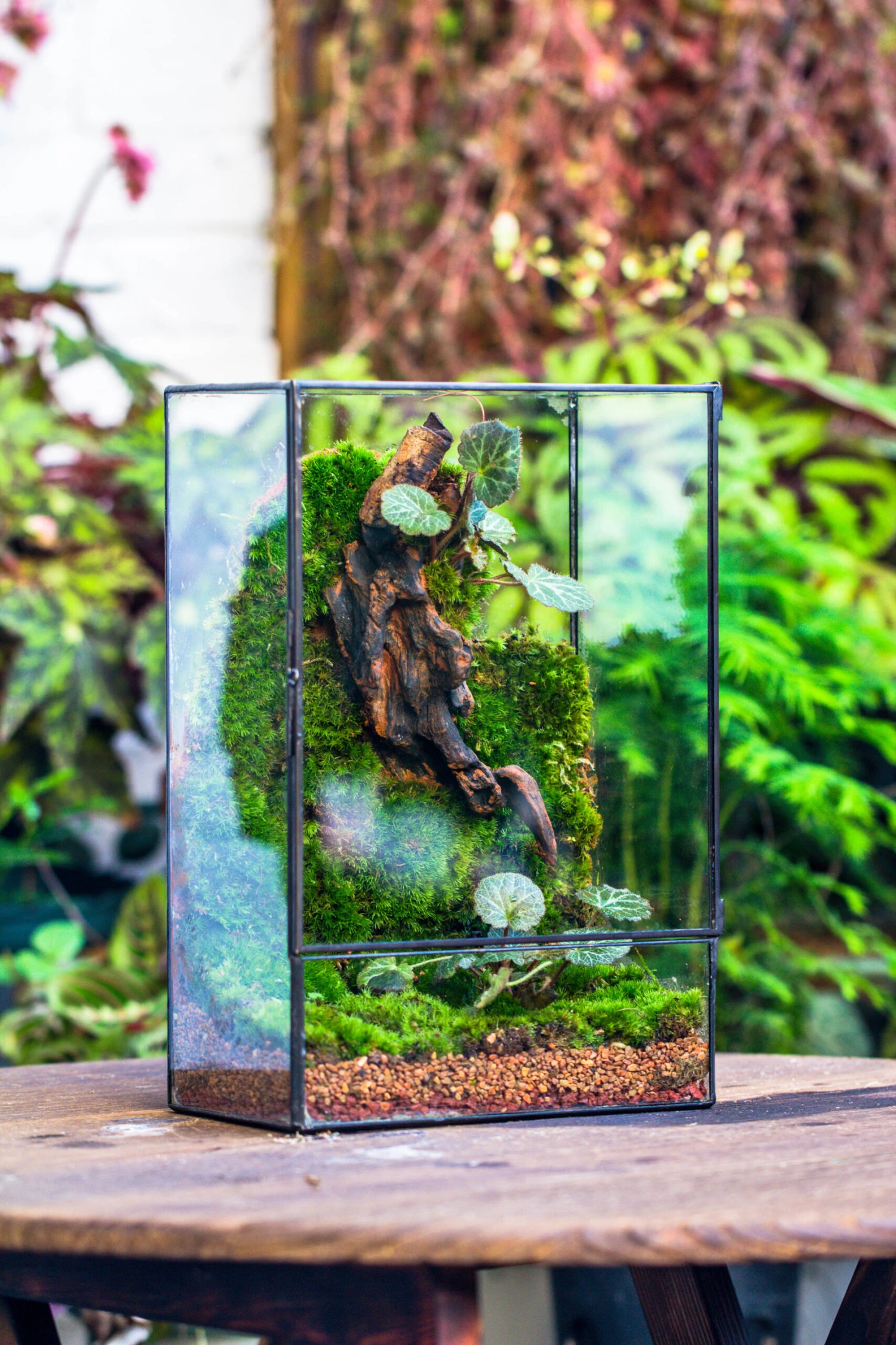 Red Horticultural Lava Rock Volcanic Rock Soil For Cacti Succulents Potted Plants Bonsai 11 Red Horticultural Lava Rock Volcanic Rock Soil For Cacti Succulents Potted Plants Bonsai - Image 9