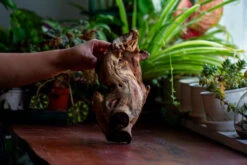 Natural Driftwood For Moss Terrarium, Miniature, Micro Landscape, Unique 12-69, Suitable For Both Live And Preserved Moss -Ncyp Garden Store IMG 2471 382ab3e5 d9ae 4f77 b89f ca4f108db14b