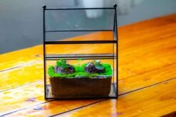 NCYP Simplified House Shape Glass Geometric Terrarium, With Side Door, With Mesh Vent Holes For Small Insects Pet -Ncyp Garden Store IMG 2503