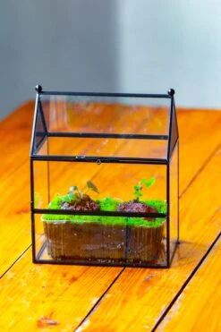 NCYP Simplified House Shape Glass Geometric Terrarium, With Side Door, With Mesh Vent Holes For Small Insects Pet -Ncyp Garden Store IMG 2504