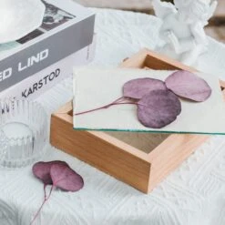 NCYP Handmade Personalized Tabletop Wall Hanging Natural Wood Glass Floating Frame For Photo -Ncyp Garden Store IMG 4398