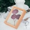 NCYP Handmade Personalized Tabletop Wall Hanging Natural Wood Glass Floating Frame For Photo 2 NCYP Handmade Personalized Tabletop Wall Hanging Natural Wood Glass Floating Frame For Photo -Ncyp Garden Store IMG 4431