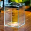 Watertight Glass Terrarium With LED Grow Light, Acrylic Lid For Carnivorous Plants-15x15x18cm / 5.9x5.9x7.1'' -Ncyp Garden Store IMG 4779 1 13