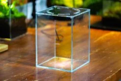 Watertight Glass Tank With LED Grow Light, Acrylic Lid, DIY Terrarium Kit- 25x25x30cm / 9.8x9.8x11.8'' -Ncyp Garden Store IMG 4779 5e4f12da b74c 488e 8b98 1b444b2c84b8 11
