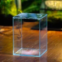 Watertight Glass Tank With LED Grow Light, Acrylic Lid, DIY Terrarium Kit-15x15x20cm / 5.9x5.9x7.8'' -Ncyp Garden Store IMG 4781 1 bf973282 48ce 4715 92c1 5b722c8731e2 4