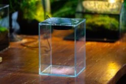 Watertight Glass Terrarium With LED Grow Light, Acrylic Lid For Carnivorous Plants-12x12x18cm / 4.7x4.7x7.1'' -Ncyp Garden Store IMG 4781 e14eda37 2b20 44bf 9c03 6e8529ad4a91 10