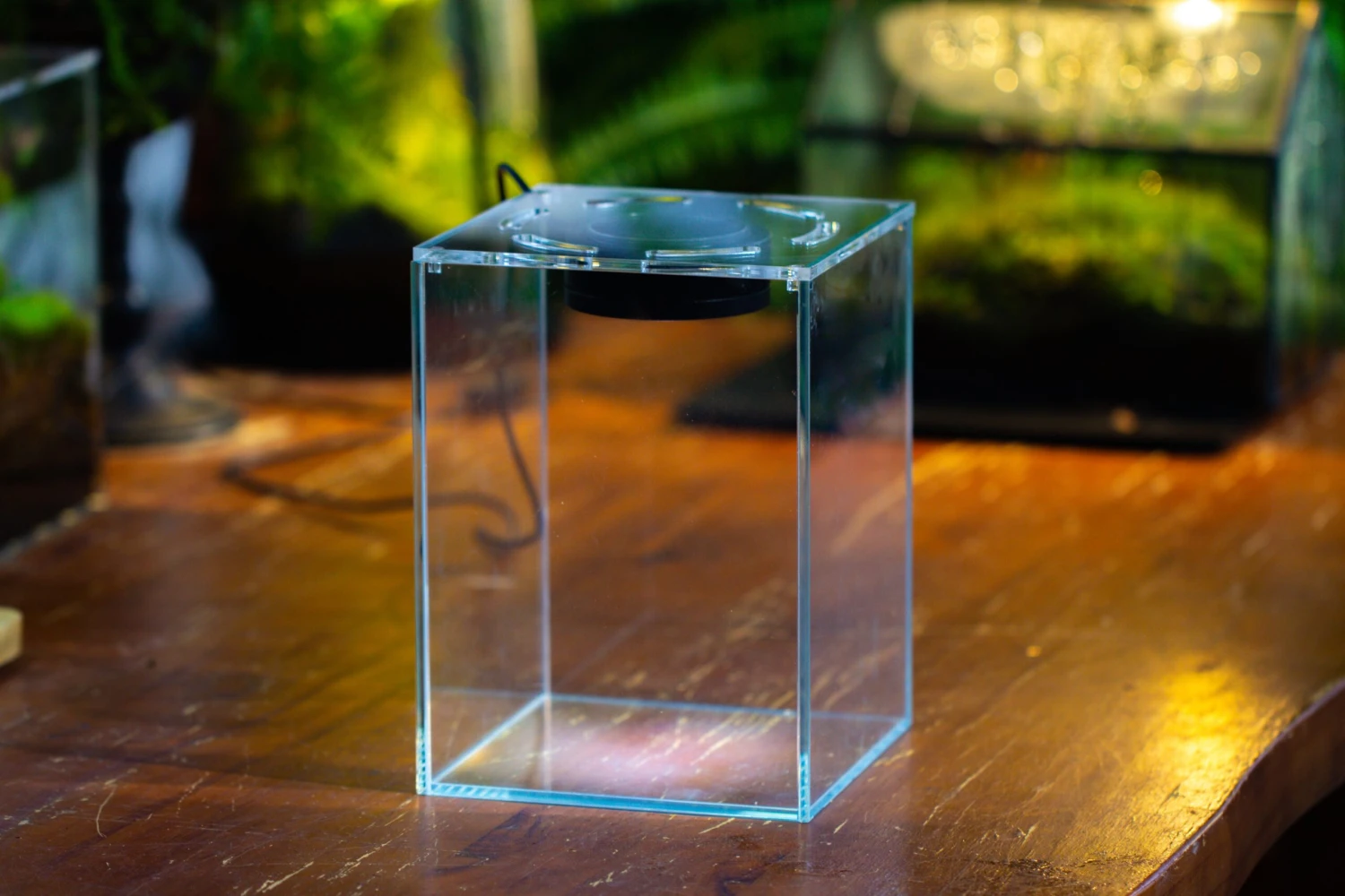 Watertight Glass Terrarium With LED Grow Light, Acrylic Lid For Carnivorous Plants-25x25x30cm / 9.8x9.8x11.8'' 19 Watertight Glass Terrarium With LED Grow Light, Acrylic Lid For Carnivorous Plants-25x25x30cm / 9.8x9.8x11.8'' - Image 17