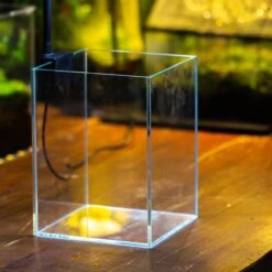 Watertight Glass Terrarium With LED Grow Light, Acrylic Lid For Carnivorous Plants-25x25x30cm / 9.8x9.8x11.8'' 32 Watertight Glass Terrarium With LED Grow Light, Acrylic Lid For Carnivorous Plants-25x25x30cm / 9.8x9.8x11.8'' -Ncyp Garden Store IMG 4888 1
