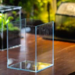Watertight Glass Terrarium With LED Grow Light, Acrylic Lid For Carnivorous Plants-25x25x30cm / 9.8x9.8x11.8'' 34 Watertight Glass Terrarium With LED Grow Light, Acrylic Lid For Carnivorous Plants-25x25x30cm / 9.8x9.8x11.8'' -Ncyp Garden Store IMG 4890 1