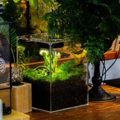 Watertight Glass Terrarium With LED Grow Light, Acrylic Lid For Carnivorous Plants-15x15x20cm / 5.9x5.9x7.8'' -Ncyp Garden Store IMG 5036 1