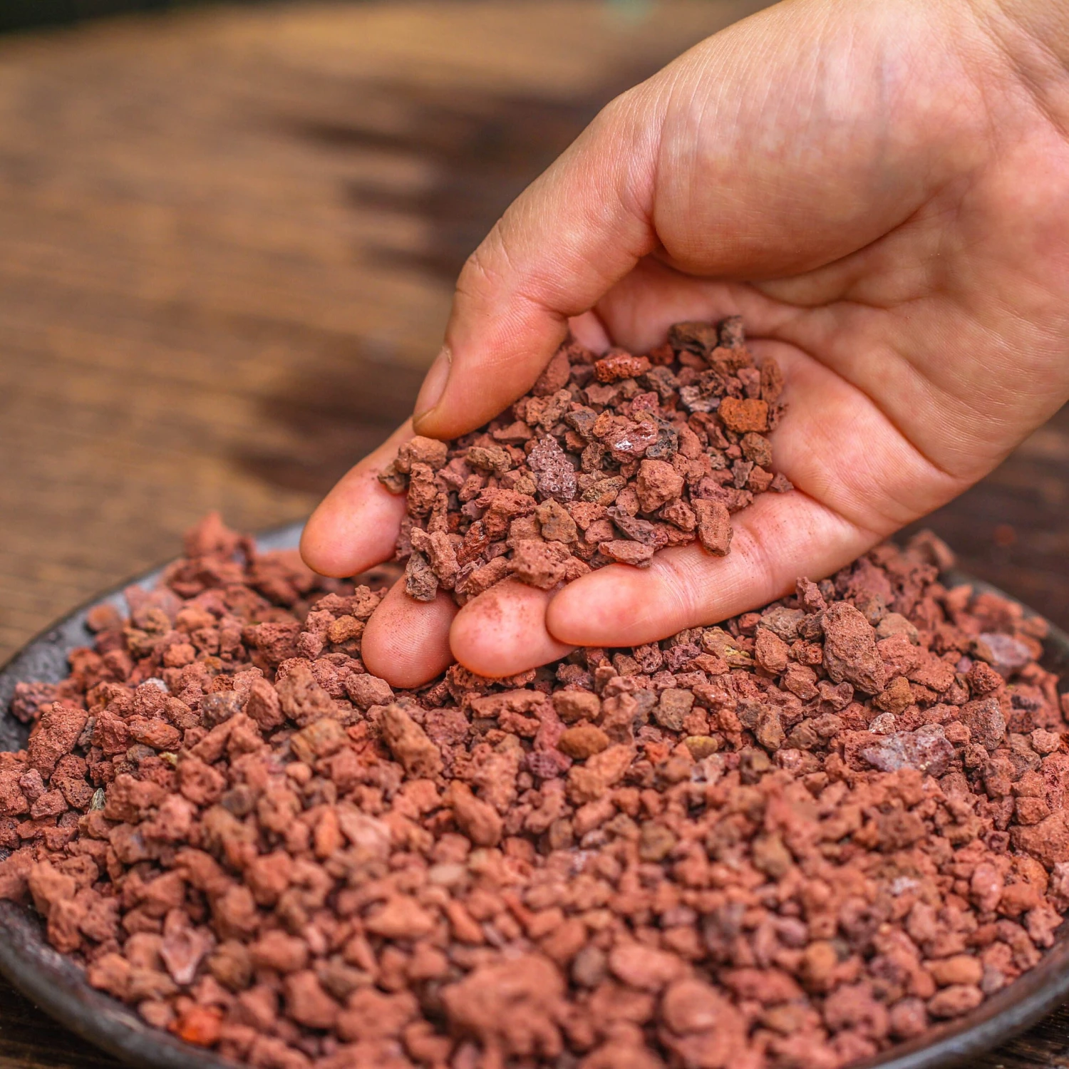 Red Horticultural Lava Rock Volcanic Rock Soil For Cacti Succulents Potted Plants Bonsai 3 Red Horticultural Lava Rock Volcanic Rock Soil For Cacti Succulents Potted Plants Bonsai