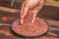 Red Horticultural Lava Rock Volcanic Rock Soil For Cacti Succulents Potted Plants Bonsai 14 Red Horticultural Lava Rock Volcanic Rock Soil For Cacti Succulents Potted Plants Bonsai -Ncyp Garden Store IMG 5298