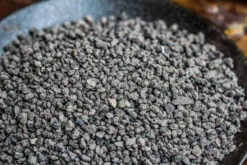 Porous Black Horticultural Lava Rocks, For Terrarium Drainage Control, The Bottom Layer Of The Moss Terrarium -Ncyp Garden Store IMG 5310