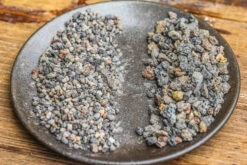 Porous Black Horticultural Lava Rocks, For Terrarium Drainage Control, The Bottom Layer Of The Moss Terrarium -Ncyp Garden Store IMG 5389