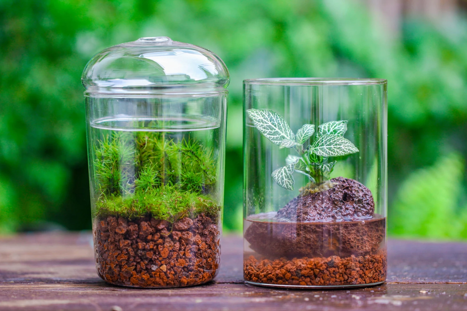 Red Horticultural Lava Rock Volcanic Rock Soil For Cacti Succulents Potted Plants Bonsai 8 Red Horticultural Lava Rock Volcanic Rock Soil For Cacti Succulents Potted Plants Bonsai - Image 6