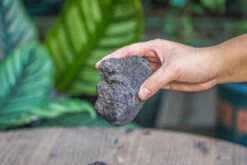 5-8cm Black Horticultural Lava Rock Volcanic Rock For Terrarium, Bonsai Landscape, 500g 16 5-8cm Black Horticultural Lava Rock Volcanic Rock For Terrarium, Bonsai Landscape, 500g -Ncyp Garden Store IMG 5883
