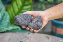 5-8cm Black Horticultural Lava Rock Volcanic Rock For Terrarium, Bonsai Landscape, 500g 23 5-8cm Black Horticultural Lava Rock Volcanic Rock For Terrarium, Bonsai Landscape, 500g -Ncyp Garden Store IMG 5884