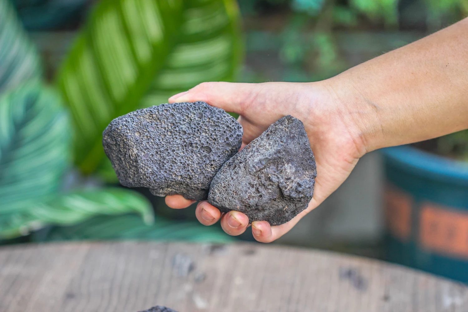 5-8cm Black Horticultural Lava Rock Volcanic Rock For Terrarium, Bonsai Landscape, 500g 13 5-8cm Black Horticultural Lava Rock Volcanic Rock For Terrarium, Bonsai Landscape, 500g - Image 11