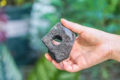 5-8cm Black Horticultural Lava Rock Volcanic Rock For Terrarium, Bonsai Landscape, 500g 18 5-8cm Black Horticultural Lava Rock Volcanic Rock For Terrarium, Bonsai Landscape, 500g -Ncyp Garden Store IMG 5887