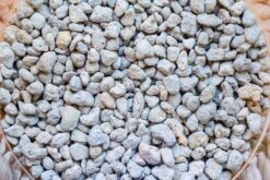 Glass Tank With Lid Grow Light DIY Set For Moss And Flytrap, Sundew -Ncyp Garden Store IMG 6022