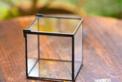 Handmade Cube Mini 4 Inches Close Geometric Glass Tin Terrarium, Greenhouse Planter For Moss, Christmas Gift, Terrarium Only -Ncyp Garden Store IMG 6946 7407b080 1156 4125 9ad7 04fea6f27761