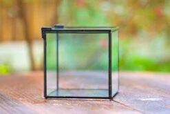 Handmade Cube Mini 4 Inches Close Geometric Glass Tin Terrarium, Greenhouse Planter For Moss, Christmas Gift, Terrarium Only -Ncyp Garden Store IMG 6947 e54a3be2 51d9 4f0c 85f4 70d3b5a0f17e