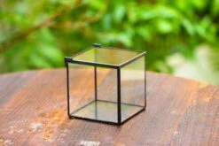 Handmade Cube Mini 4 Inches Close Geometric Glass Tin Terrarium, Greenhouse Planter For Moss, Christmas Gift, Terrarium Only -Ncyp Garden Store IMG 6949 64c93eed 091f 4b6c 8fea 8d50fe8511bd