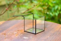 Handmade Cube Mini 4 Inches Close Geometric Glass Tin Terrarium, Greenhouse Planter For Moss, Christmas Gift, Terrarium Only -Ncyp Garden Store IMG 6950 64548560 4f18 4818 a627 1c8d7db43139 1