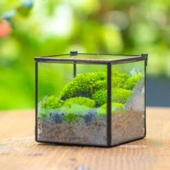 Handmade Cube Mini 4 Inches Close Geometric Glass Tin Terrarium, Greenhouse Planter For Moss, Christmas Gift, Terrarium Only -Ncyp Garden Store IMG 7111 1 1