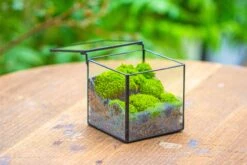 Handmade Cube Mini 4 Inches Close Geometric Glass Tin Terrarium, Greenhouse Planter For Moss, Christmas Gift, Terrarium Only -Ncyp Garden Store IMG 7114 1