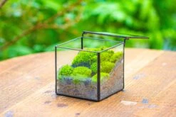 Handmade Cube Mini 4 Inches Close Geometric Glass Tin Terrarium, Greenhouse Planter For Moss, Christmas Gift, Terrarium Only -Ncyp Garden Store IMG 7117 1