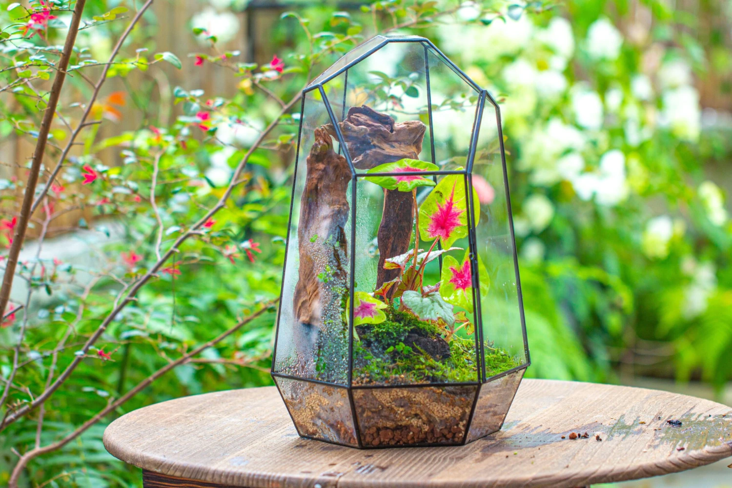 Handmade 41cm / 16" Tall Irregular Open Glass Geometric Terrarium Box For Succulent Moss Airplants 14 Handmade 41cm / 16" Tall Irregular Open Glass Geometric Terrarium Box For Succulent Moss Airplants - Image 12