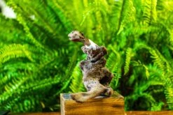 Driftwood For Moss Terrarium, Miniature, Micro Landscape, H019 -Ncyp Garden Store IMG 7427