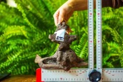 Driftwood For Moss Terrarium, Miniature, Micro Landscape, H019 -Ncyp Garden Store IMG 7428