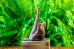 Driftwood For Moss Terrarium, Miniature, Micro Landscape, H015 -Ncyp Garden Store IMG 7431