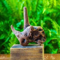 Driftwood For Moss Terrarium, Miniature, Micro Landscape, H015