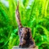 Driftwood For Moss Terrarium, Miniature, Micro Landscape, H017 -Ncyp Garden Store IMG 7435