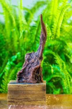 Driftwood For Moss Terrarium, Miniature, Micro Landscape, H017 -Ncyp Garden Store IMG 7437