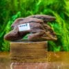Driftwood For Moss Terrarium, Miniature, Micro Landscape, H008 -Ncyp Garden Store IMG 7446