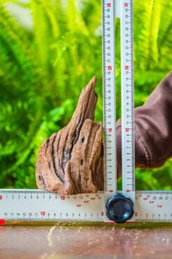 Driftwood For Moss Terrarium, Miniature, Micro Landscape, H011 -Ncyp Garden Store IMG 7467