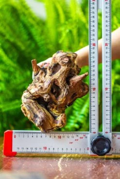 Driftwood For Moss Terrarium, Miniature, Micro Landscape, H005 -Ncyp Garden Store IMG 7535