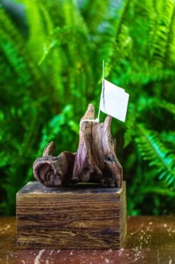Driftwood For Moss Terrarium, Miniature, Micro Landscape, 7023 -Ncyp Garden Store IMG 7549