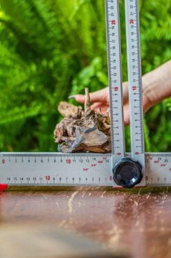 Driftwood For Moss Terrarium, Miniature, Micro Landscape, 7025 -Ncyp Garden Store IMG 7565 b21cfc58 3f2a 47e2 945b ce5684591a78