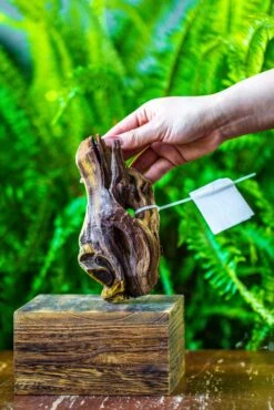 Driftwood For Moss Terrarium, Miniature, Micro Landscape, 7019 -Ncyp Garden Store IMG 7569