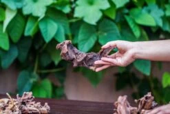 Natural Driftwood Roots Bag For Moss Terrarium Succulents Air Plants Reptile Miniature Habitat -Ncyp Garden Store IMG 7574