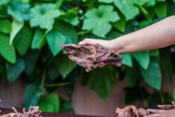 Natural Driftwood Roots Bag For Moss Terrarium Succulents Air Plants Reptile Miniature Habitat -Ncyp Garden Store IMG 7577