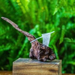 Driftwood For Moss Terrarium, Miniature, Micro Landscape, 7034