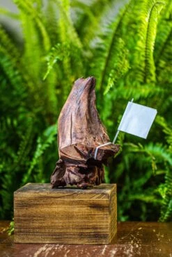 Driftwood For Moss Terrarium, Miniature, Micro Landscape, 7047 -Ncyp Garden Store IMG 7610 13877d49 72be 4bf9 ba56 f71bbb402acb