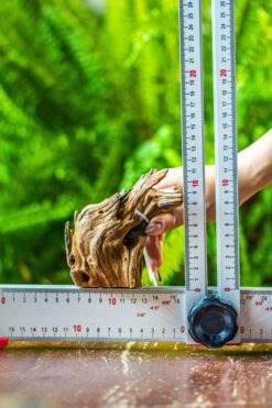 Driftwood For Moss Terrarium, Miniature, Micro Landscape, 7050 -Ncyp Garden Store IMG 7622