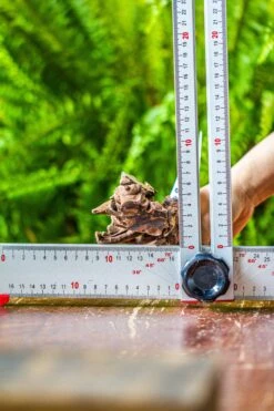 Driftwood For Moss Terrarium, Miniature, Micro Landscape, 7041 -Ncyp Garden Store IMG 7626